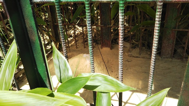 f:id:jp7qma:20200608161608j:image