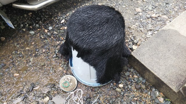 f:id:jp7qma:20201022121805j:image