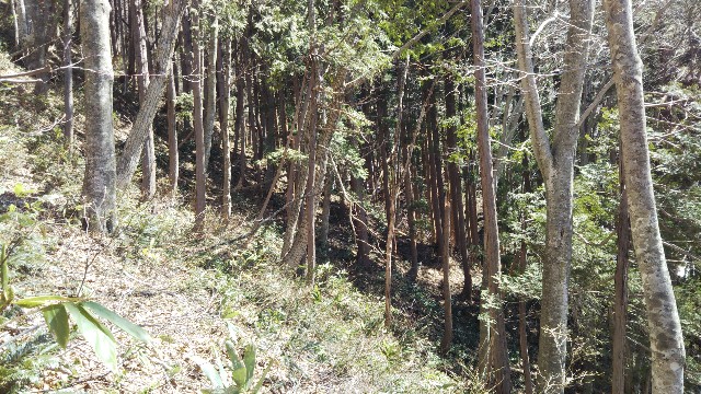 f:id:jp7qma:20210412094212j:image