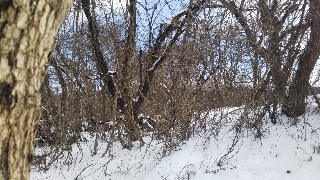 f:id:jp7qma:20220123153257j:image