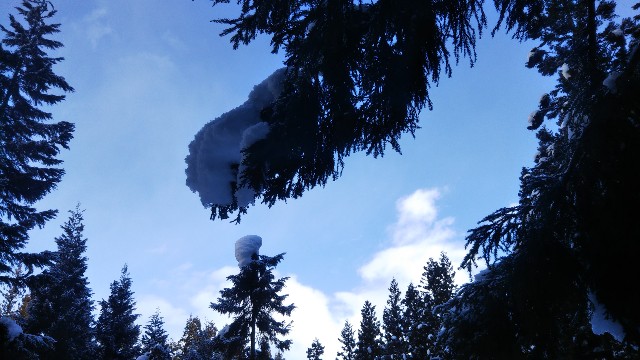 f:id:jp7qma:20220126103016j:image