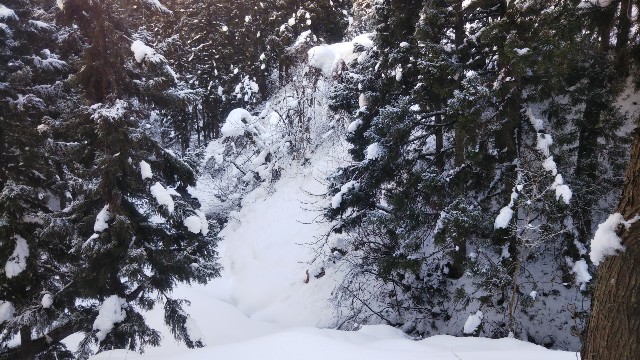 f:id:jp7qma:20220126103037j:image