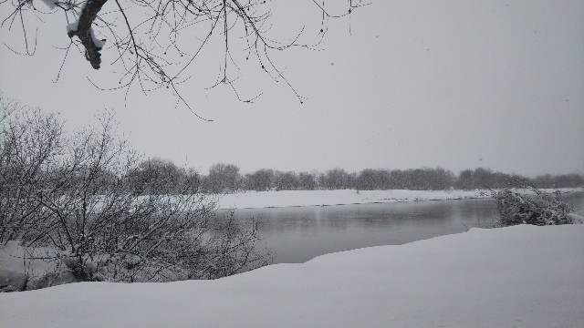 f:id:jp7qma:20220201150116j:image