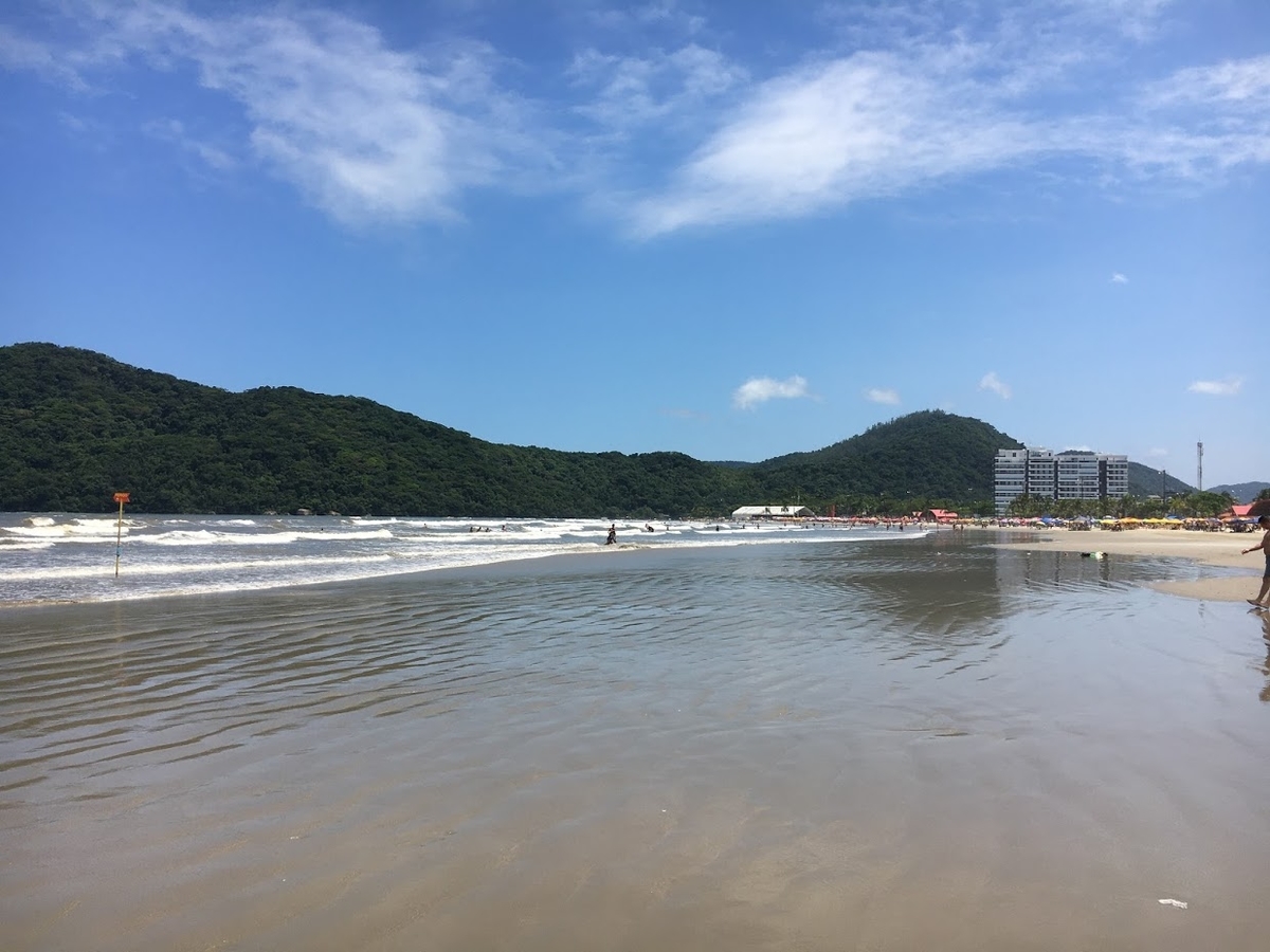 f:id:jpcaaubr:20200316110620j:plain