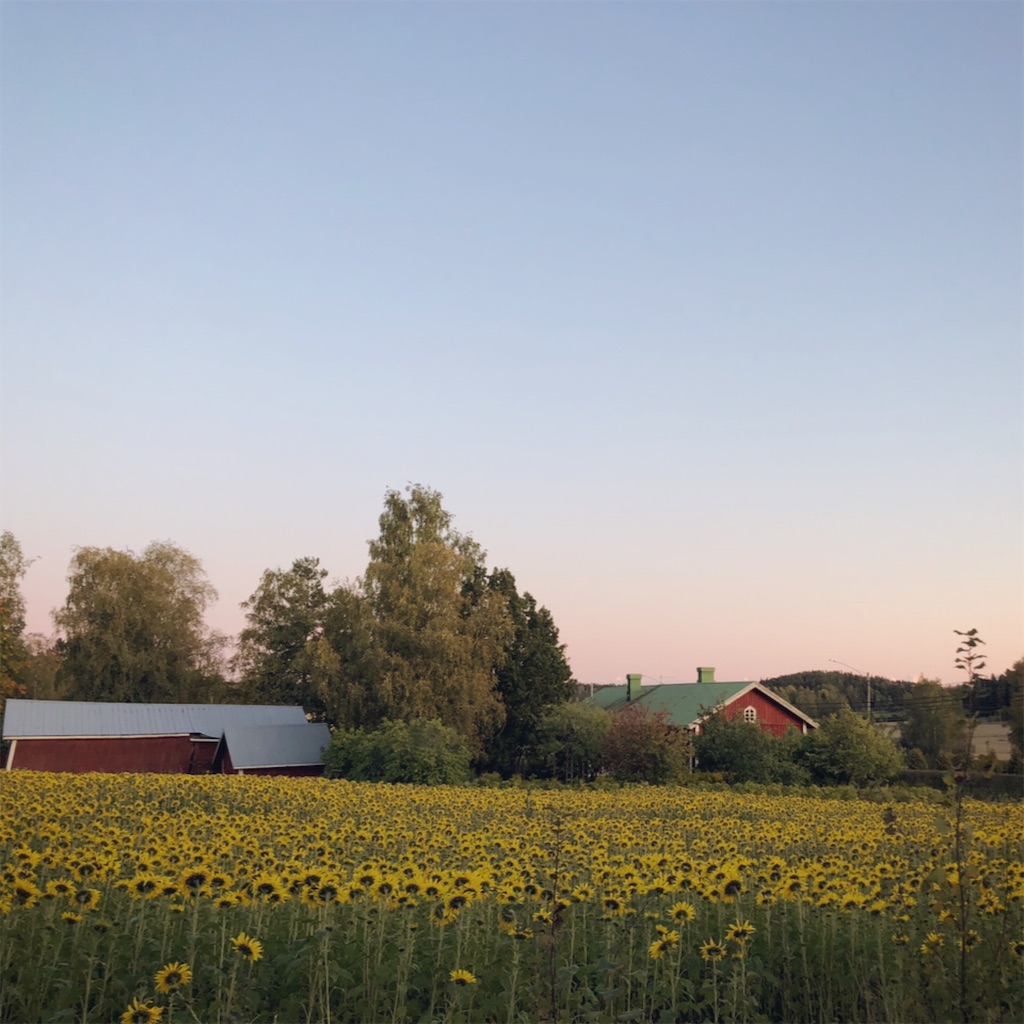 f:id:jpcypress:20191015193315j:image f:id:jpcypress:20191015193315j:image