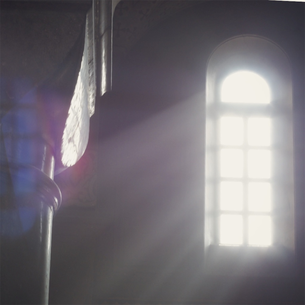 f:id:jpcypress:20191015193322j:image f:id:jpcypress:20191015193322j:image