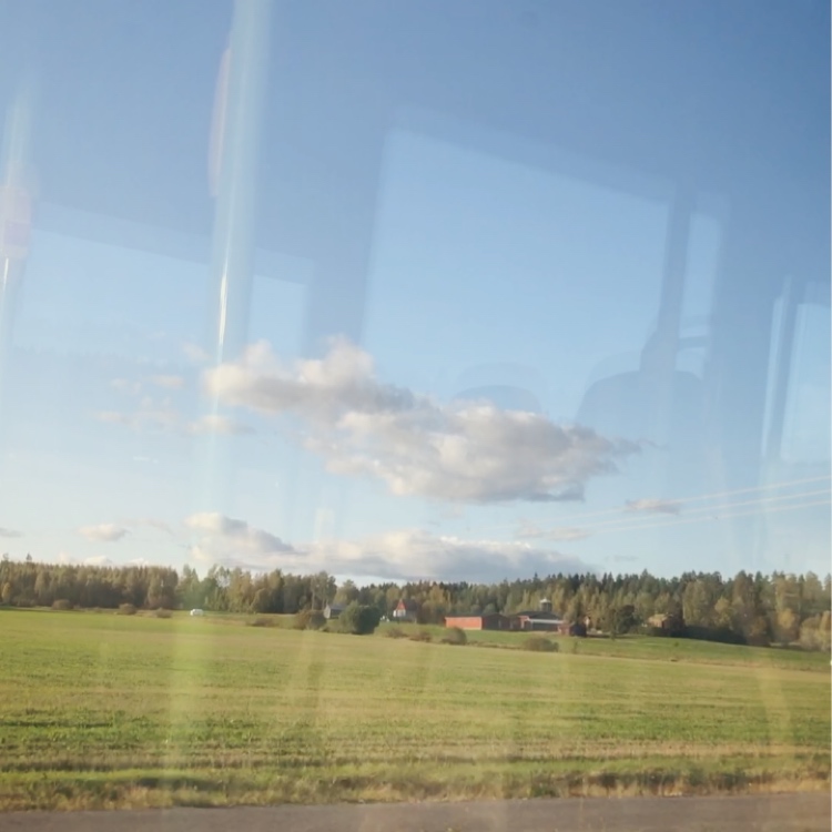 f:id:jpcypress:20191021175950j:plain f:id:jpcypress:20191021175950j:plain