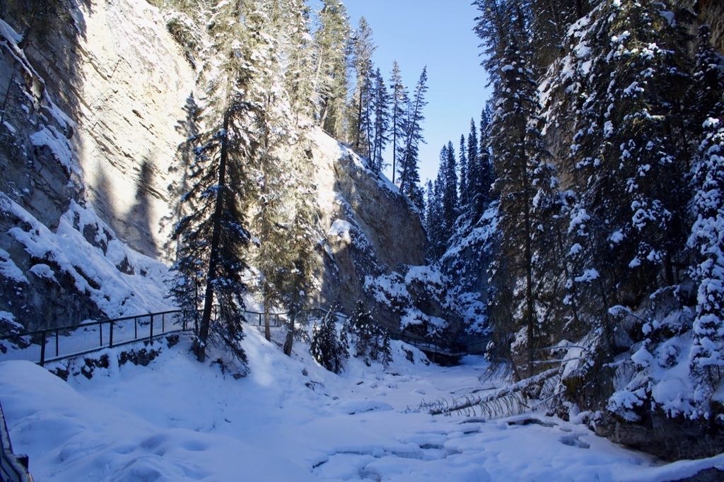カナダのバンフで冬のハイキングはかなりオススメです