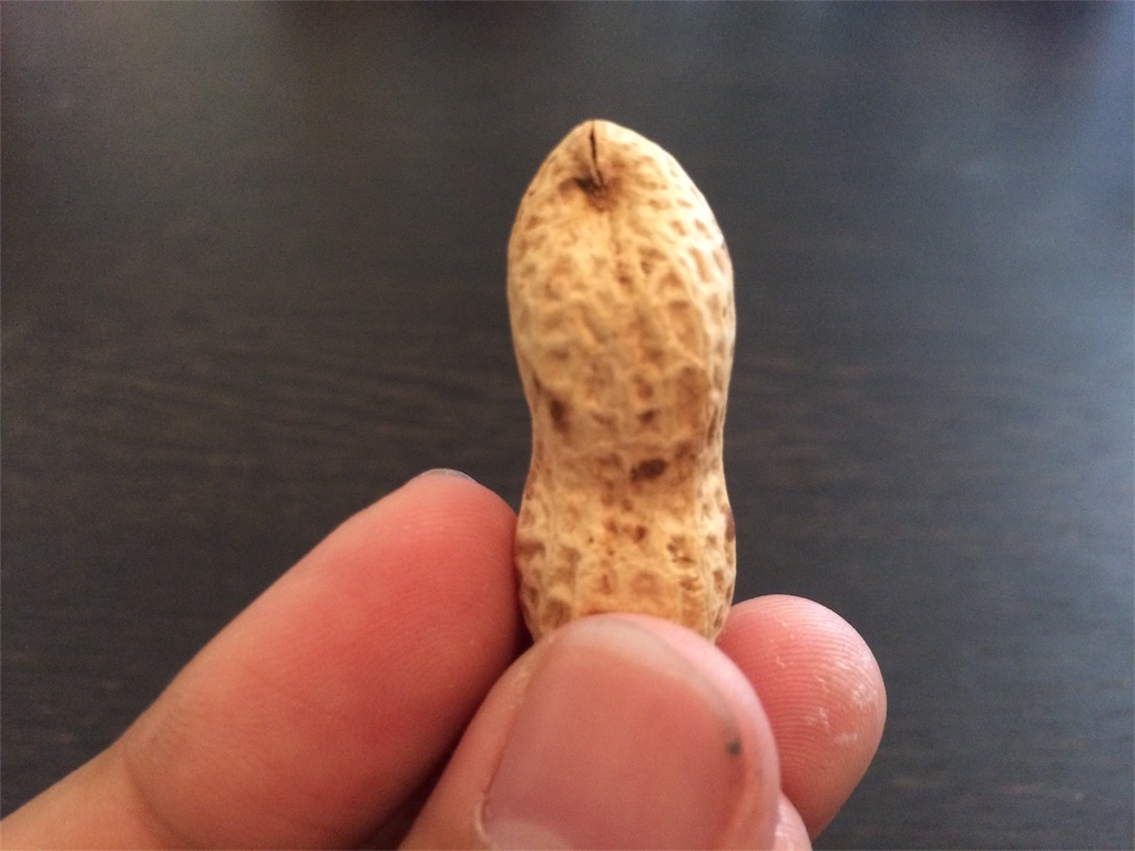 f:id:jpmpmpw:20161123234359j:image f:id:jpmpmpw:20161123234359j:image