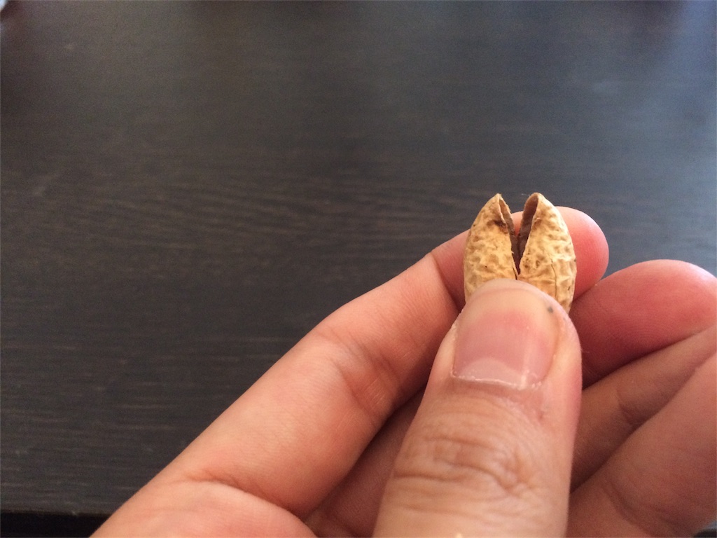 f:id:jpmpmpw:20161123234432j:image f:id:jpmpmpw:20161123234432j:image