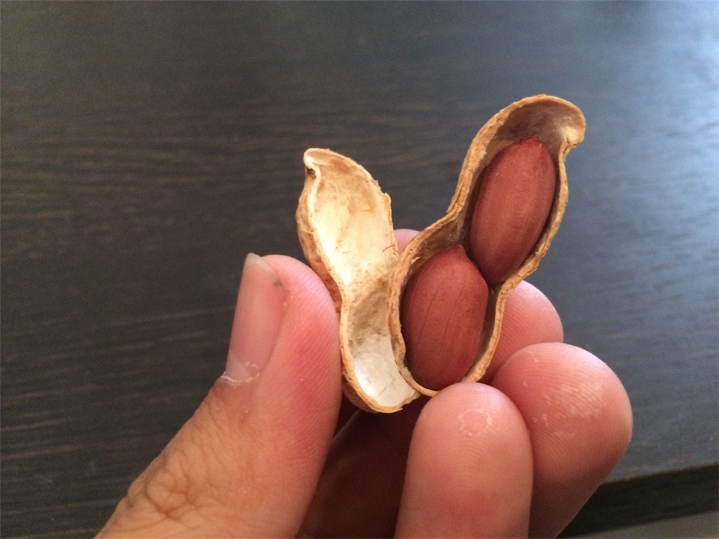 f:id:jpmpmpw:20161123234508j:image f:id:jpmpmpw:20161123234508j:image