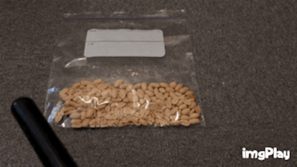 f:id:jpmpmpw:20161202014648g:image f:id:jpmpmpw:20161202014648g:image