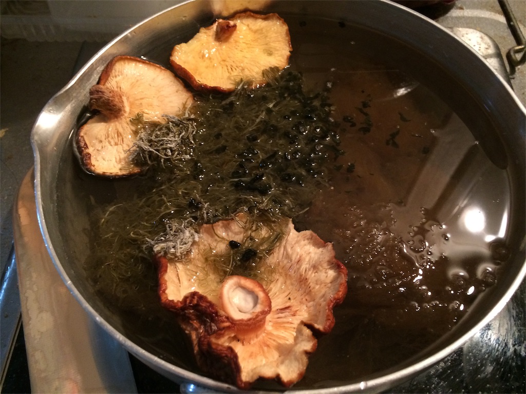 f:id:jpmpmpw:20170201174705j:image