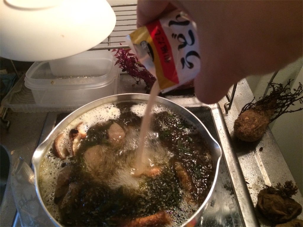 f:id:jpmpmpw:20170201174959j:image