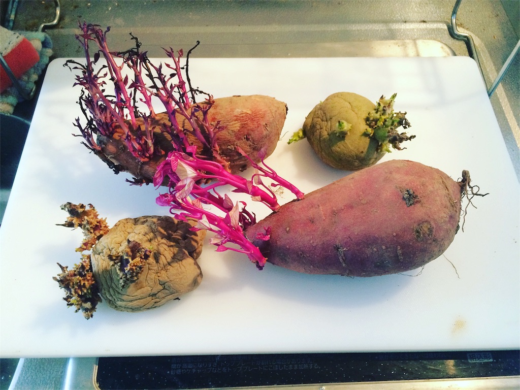 f:id:jpmpmpw:20170206225151j:image