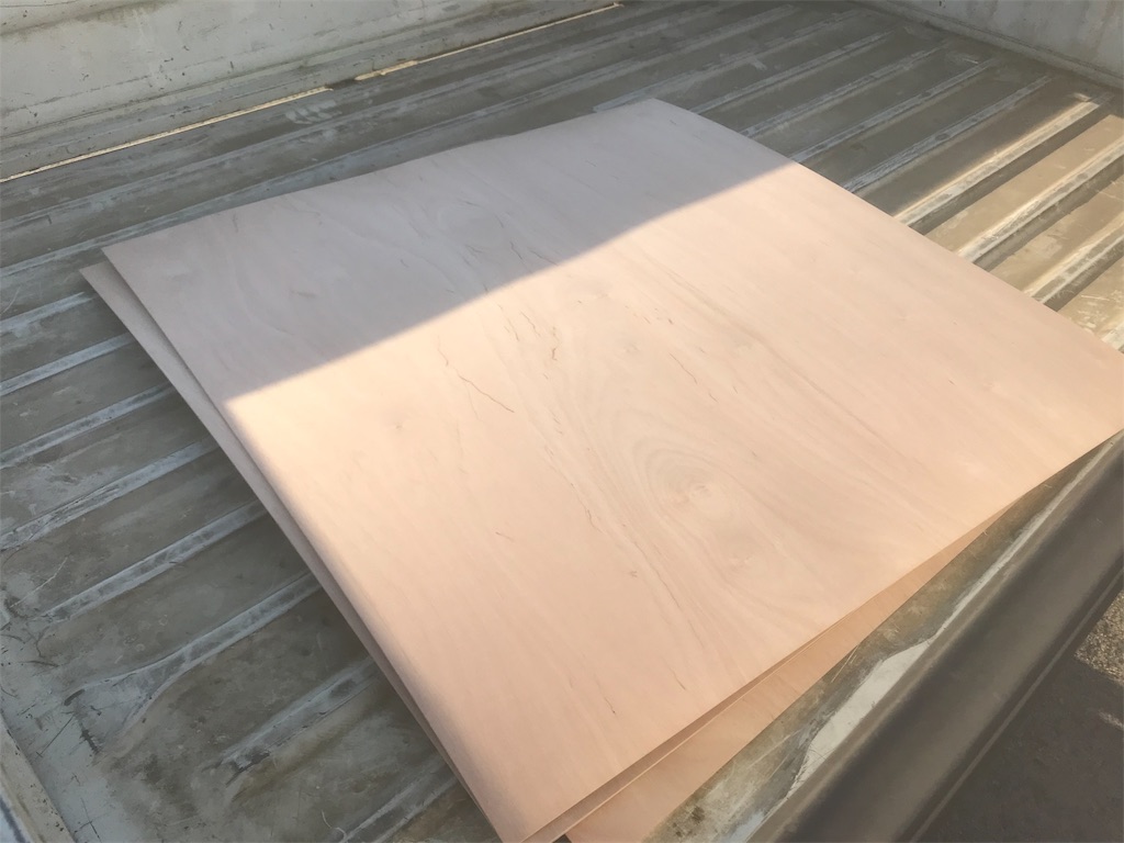 f:id:jpmpmpw:20190402204027j:image f:id:jpmpmpw:20190402204027j:image