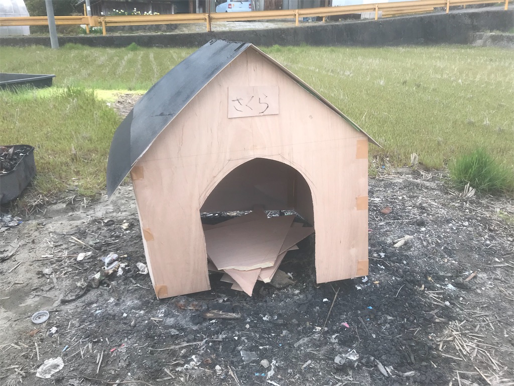 f:id:jpmpmpw:20190402214731j:image f:id:jpmpmpw:20190402214731j:image