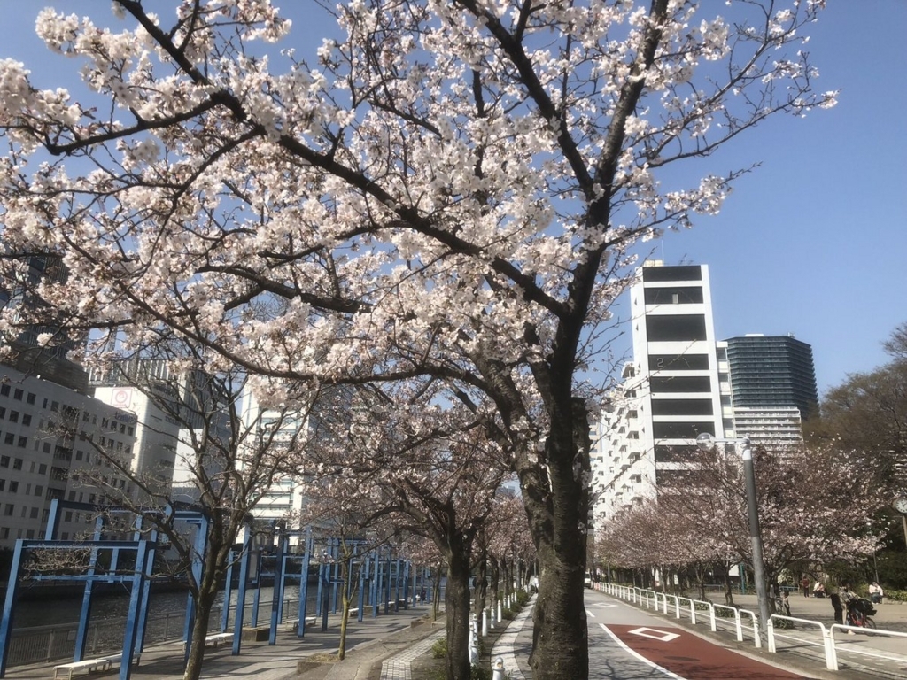 f:id:jpnk225:20180402220818j:plain f:id:jpnk225:20180402220818j:plain