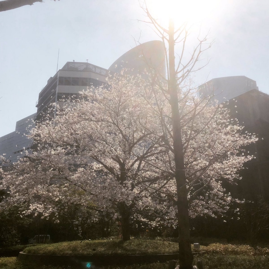 f:id:jpnk225:20180402221344j:plain f:id:jpnk225:20180402221344j:plain