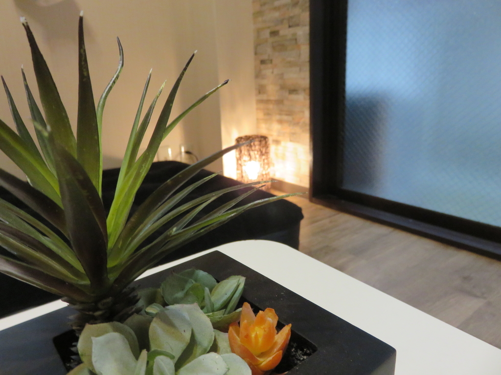 f:id:jpnumachan5555:20180915203033j:plain