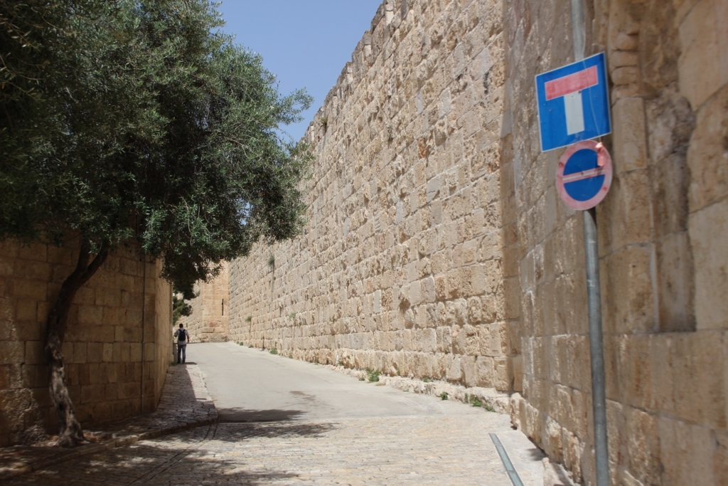 f:id:jpthingmr:20170721043000j:plain