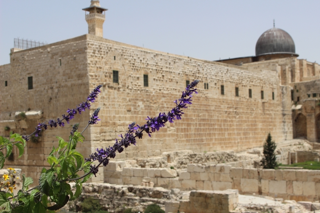 f:id:jpthingmr:20170721043835j:plain