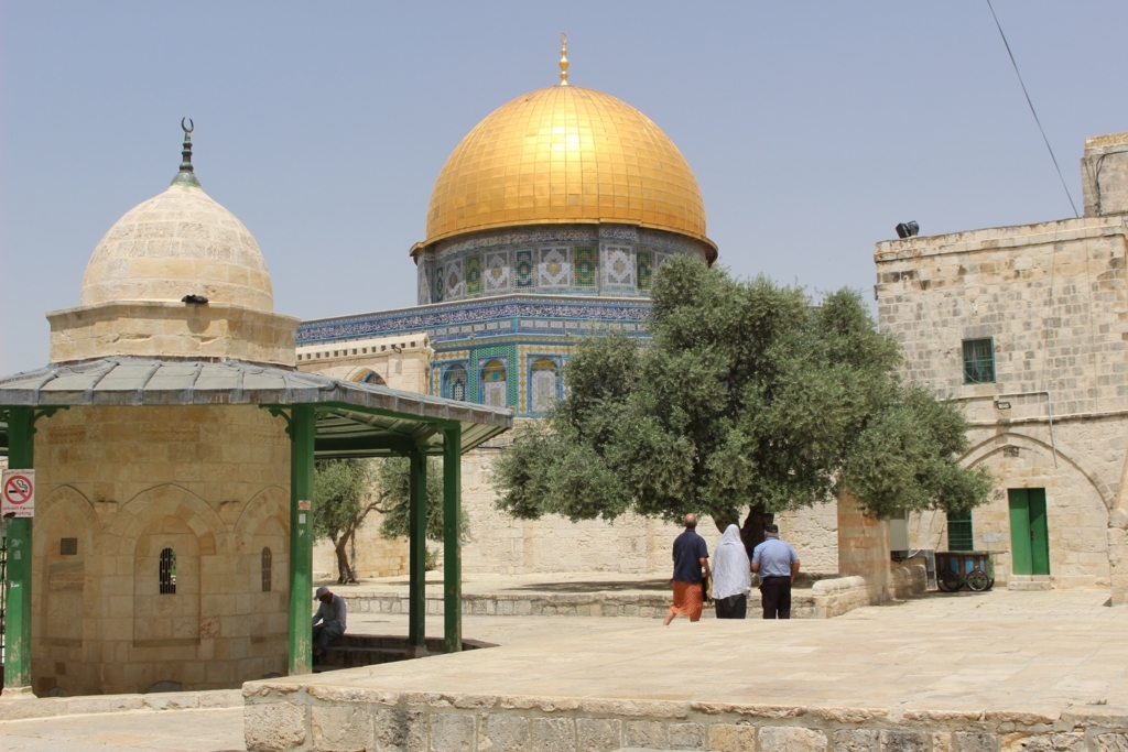 f:id:jpthingmr:20170721044026j:plain