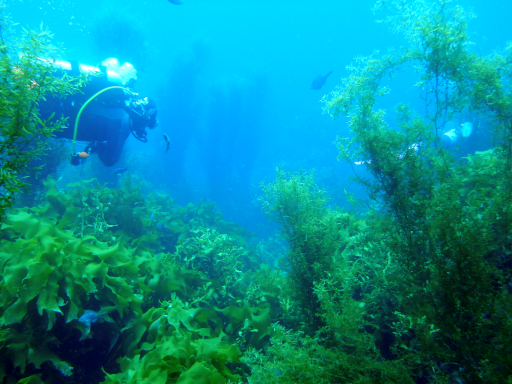 f:id:jptzws:20180201071606j:plain