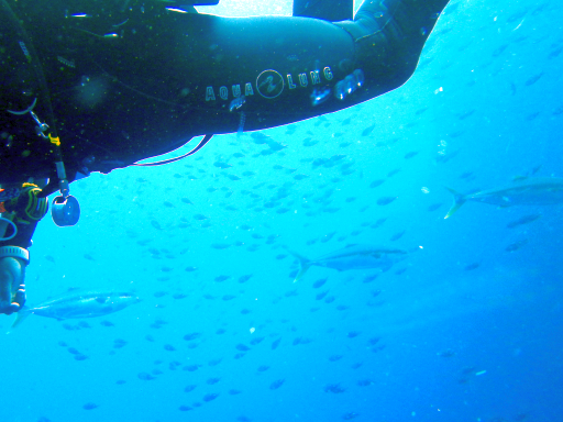 f:id:jptzws:20180201071619j:plain