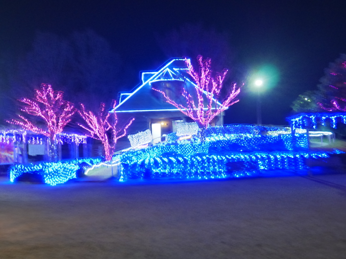 f:id:jrain:20201114023714j:plain f:id:jrain:20201114023714j:plain