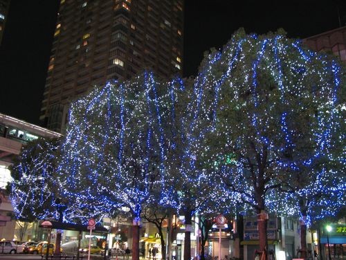f:id:jranar:20091202222230j:image