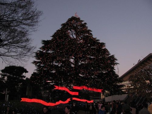 f:id:jranar:20091220162825j:image