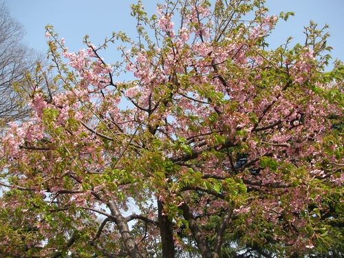 f:id:jranar:20100313110108j:image