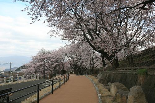 f:id:jranar:20100403073405j:image