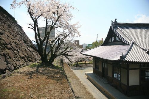 f:id:jranar:20100403120425j:image
