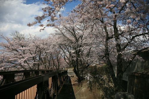 f:id:jranar:20100403125727j:image