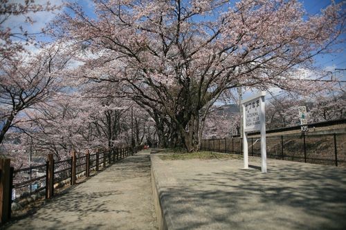 f:id:jranar:20100403125827j:image