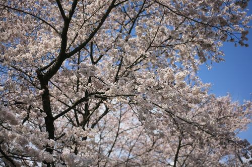 f:id:jranar:20100403125934j:image