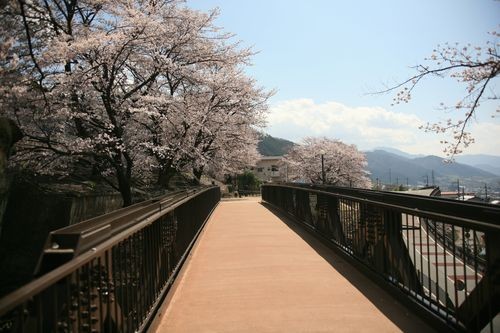 f:id:jranar:20100403130217j:image