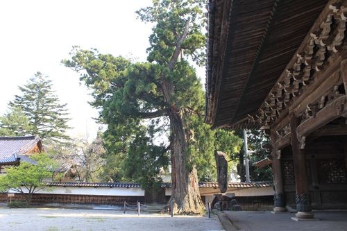 f:id:jranar:20100502082721j:image