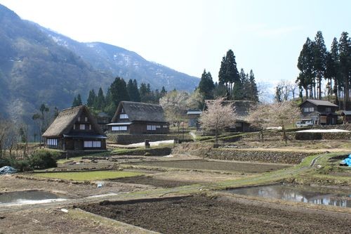 f:id:jranar:20100502093358j:image