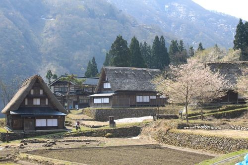 f:id:jranar:20100502093430j:image
