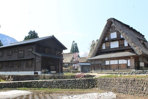 f:id:jranar:20100502093550j:image