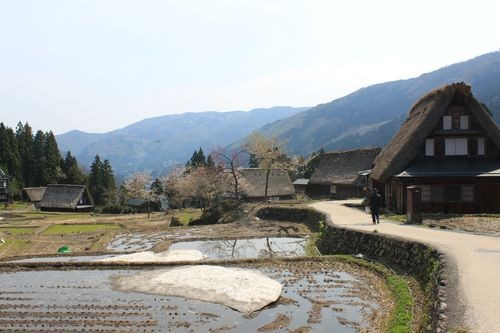 f:id:jranar:20100502093620j:image