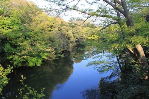 f:id:jranar:20100502170125j:image