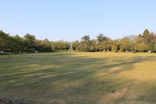 f:id:jranar:20100502170733j:image