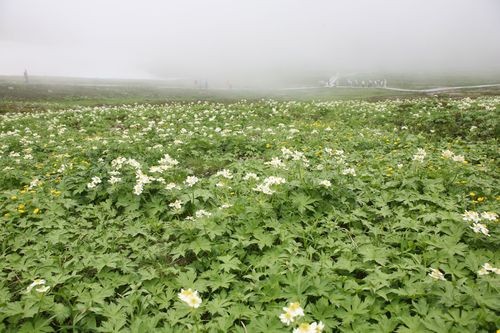 f:id:jranar:20100717130516j:image