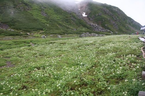 f:id:jranar:20100717143225j:image