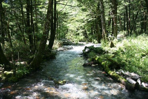 f:id:jranar:20100718122557j:image f:id:jranar:20100718122557j:image