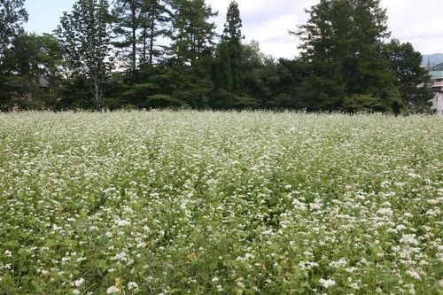 f:id:jranar:20100918144636j:image f:id:jranar:20100918144636j:image